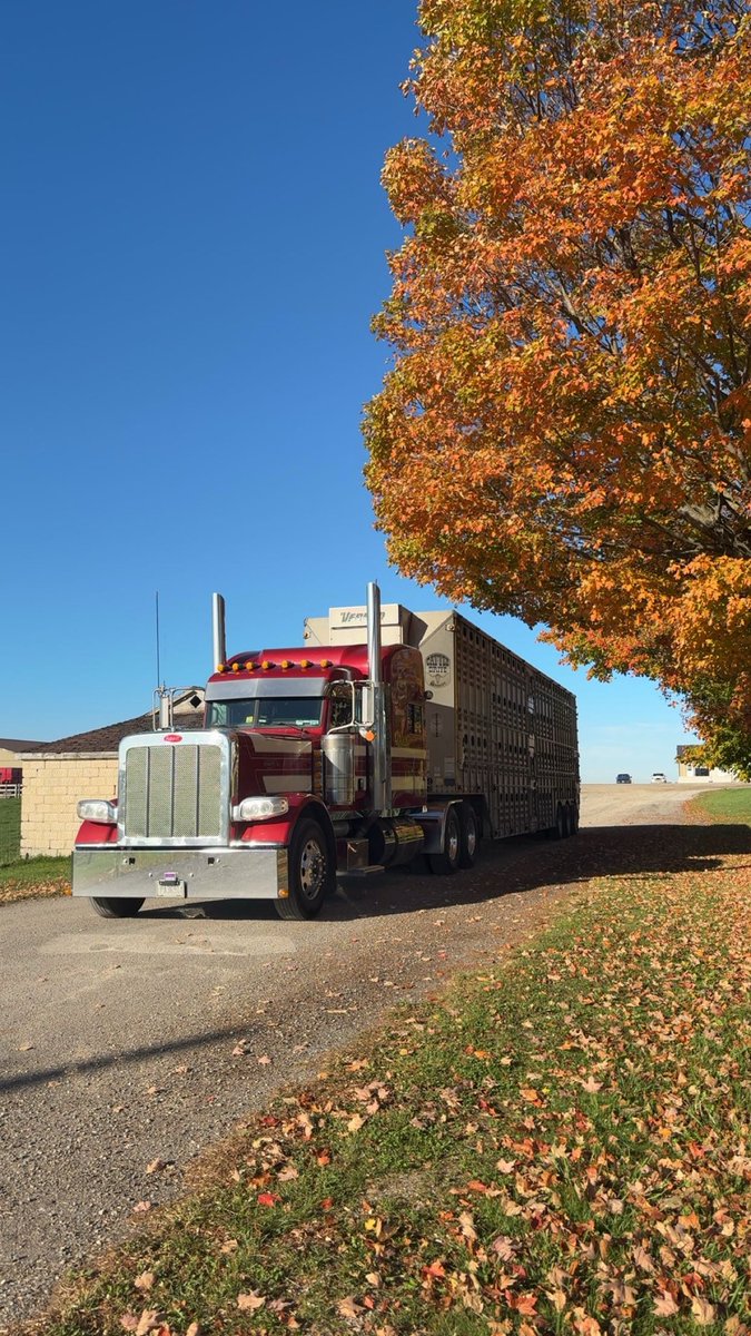 Beauty thanksgiving Monday for some trucking!