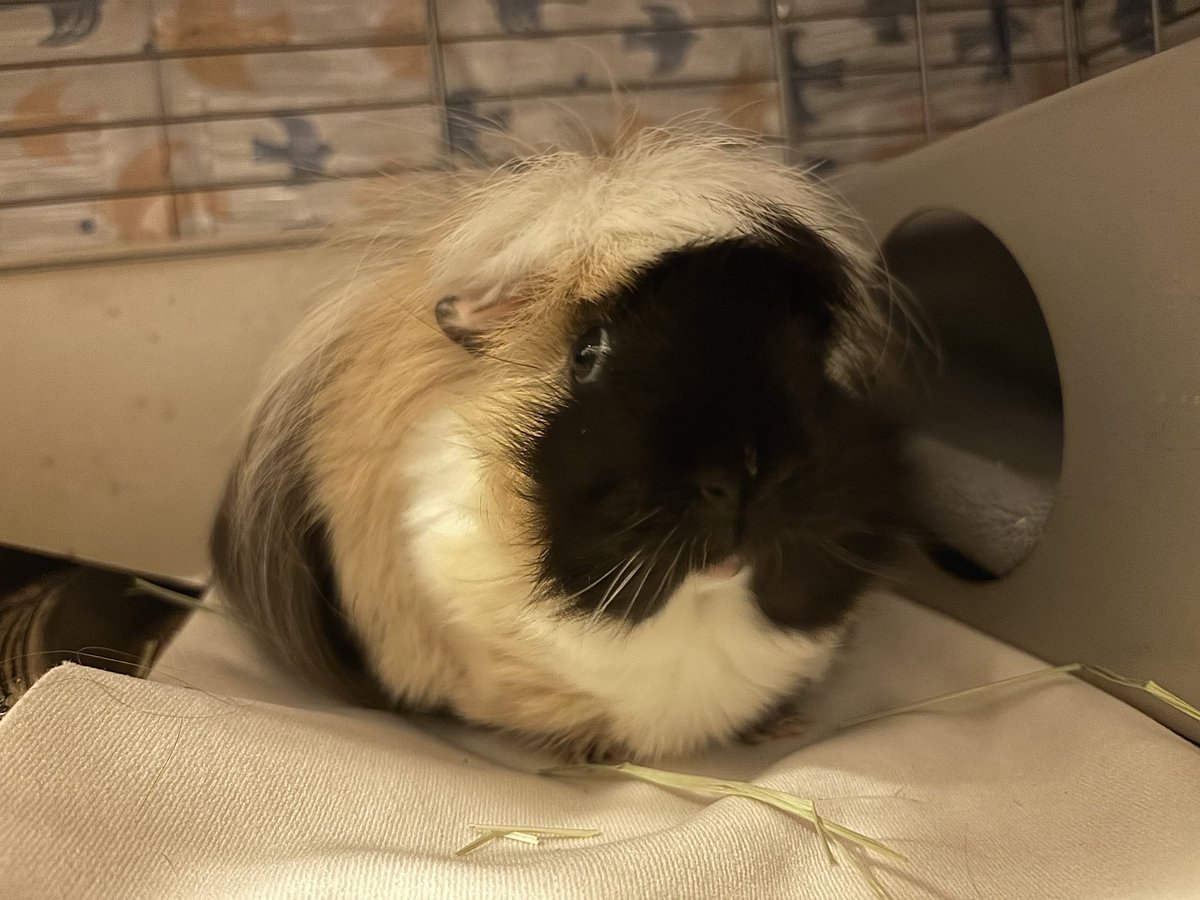 みるく＆ちょこ tweet media