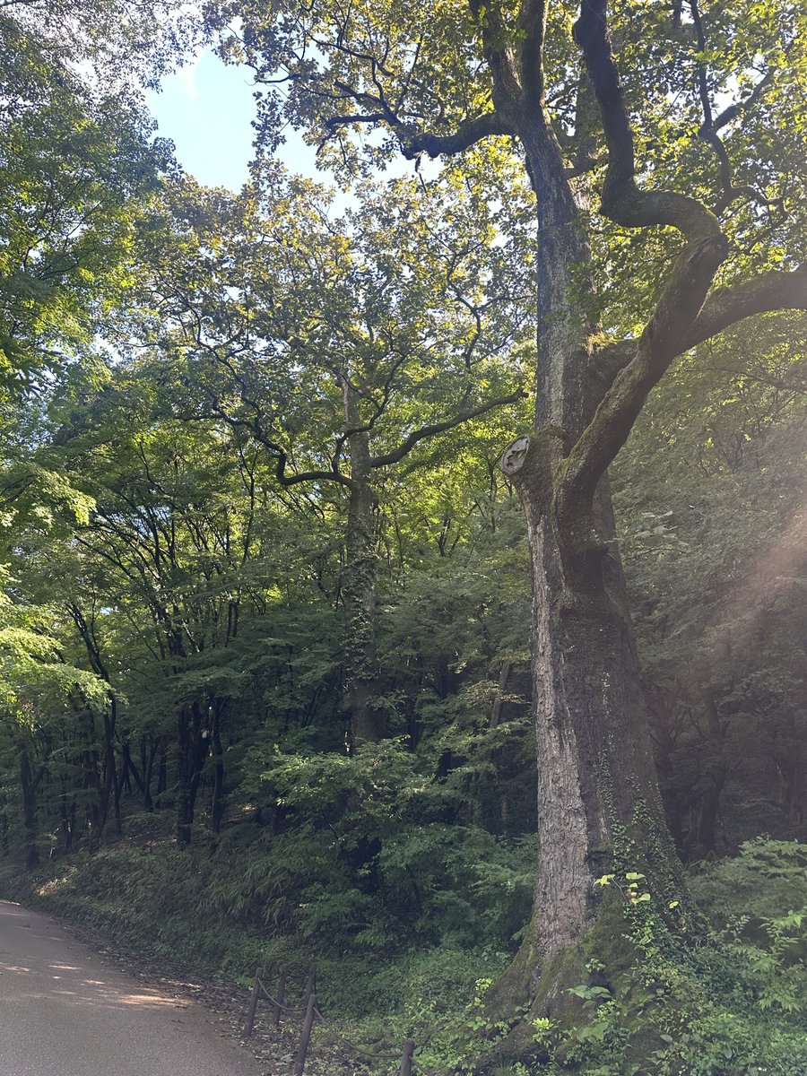 쑤욱쑥 (@toptenoral) on Twitter photo 