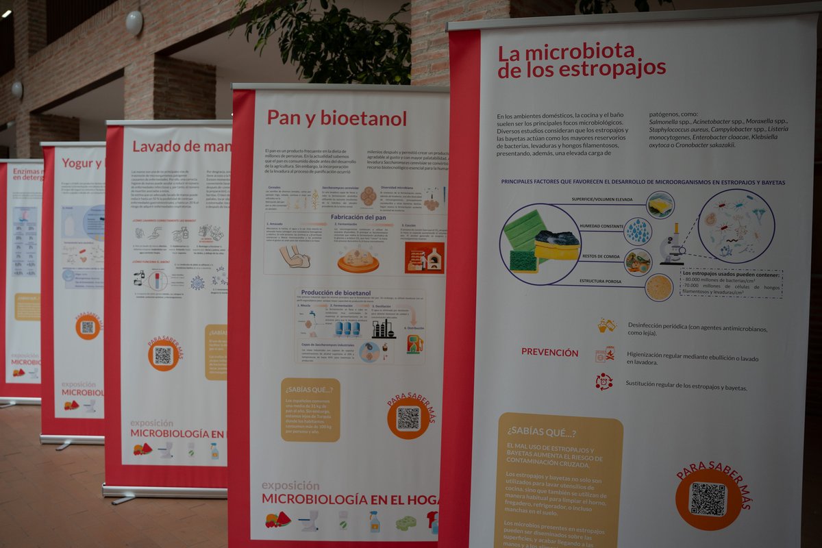 🦠 EXPOSICIÓN | Microbiología en el hogar  

Descubre cómo los microorganismos están presentes en nuestra vida doméstica y cotidiana.   

🗓️ Hasta el 15 de octubre
📍 Facultad de Farmacia <a href="/FFarmaciaUSAL/">Facultad Farmacia</a>  

Coordinación: <a href="/RaulRivasG/">Raúl Rivas</a>