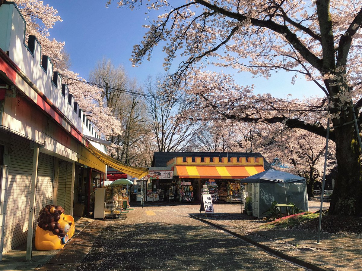 palmtree_616's tweet photo. 春秋の動物園に漂う幸福感
ところどころ危うい遊園地エリア https://t.co/7bTZ27nrLy