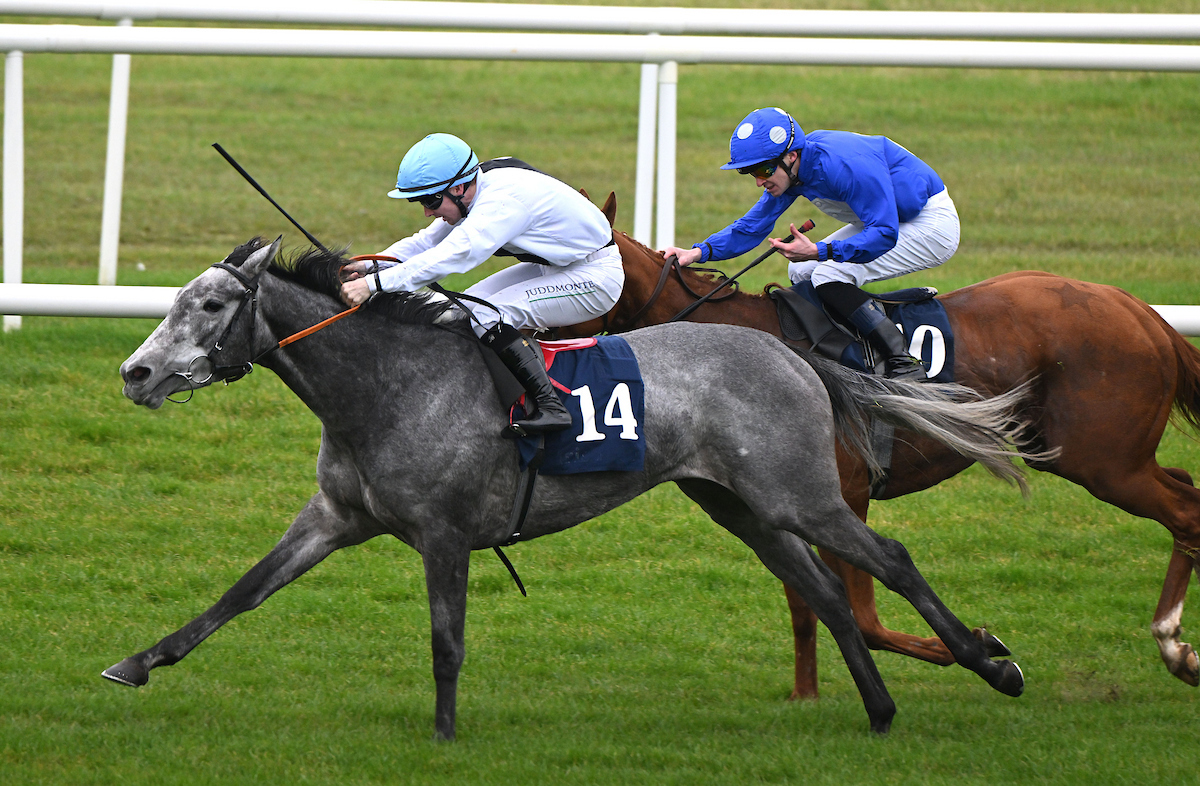 Roscommon Racecourse tweet media