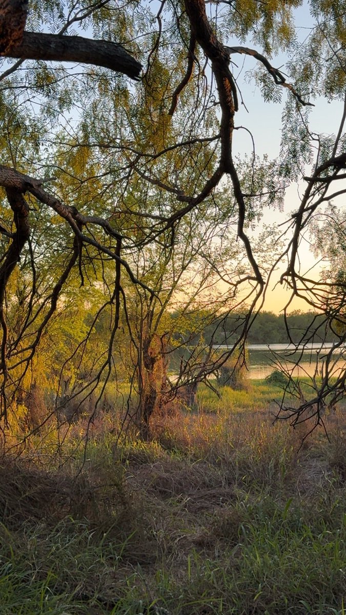 GoodLucKat's tweet image. #NatureBeauty #sunset