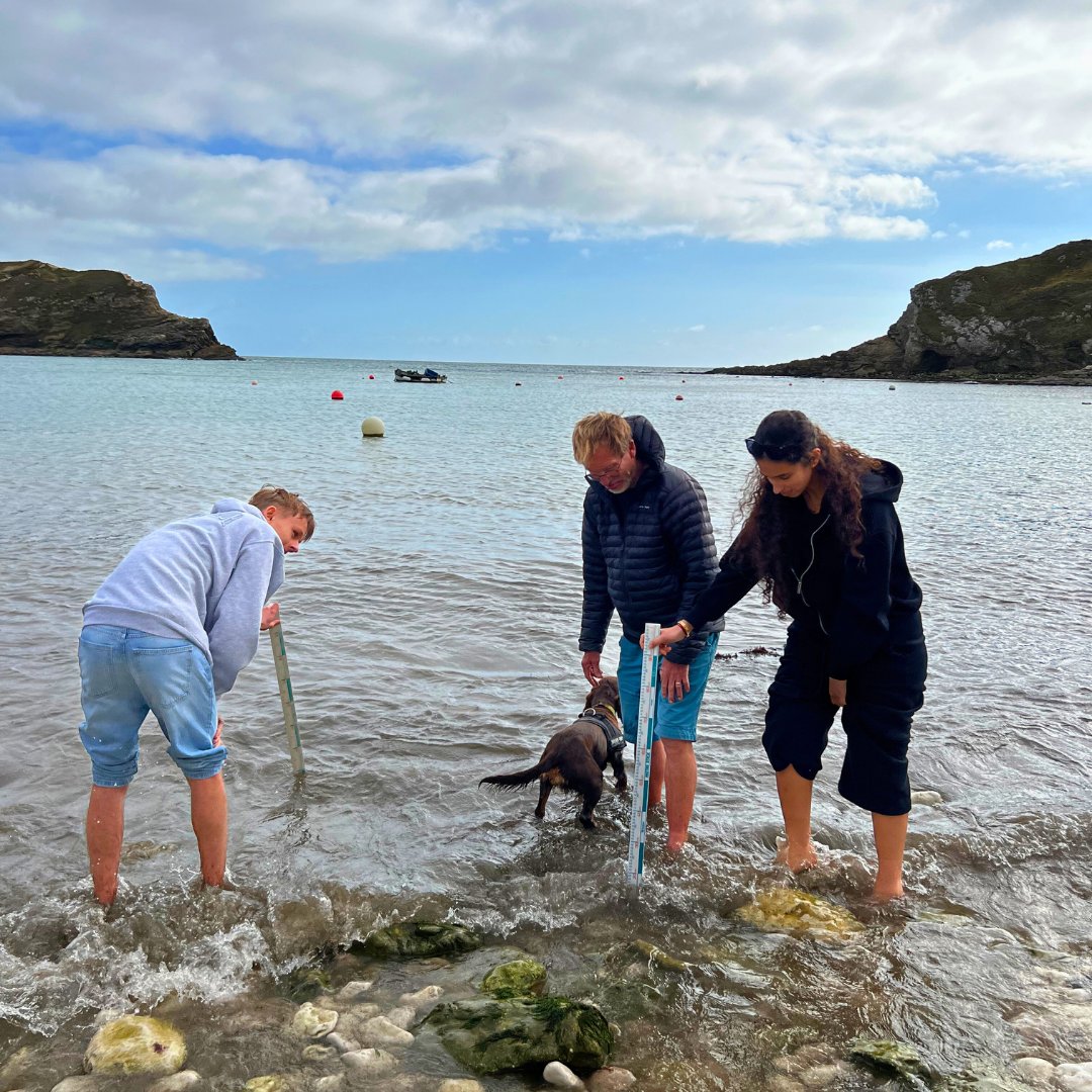 ICSLondon's tweet image. Last week, our Year 11 Geography and Year 13 ESS/Biology students headed to Dorset for hands-on fieldwork 🌊🌾 From measuring wave energy to studying dune succession, it was learning in action! 

#Geography #IBDP #Fieldwork