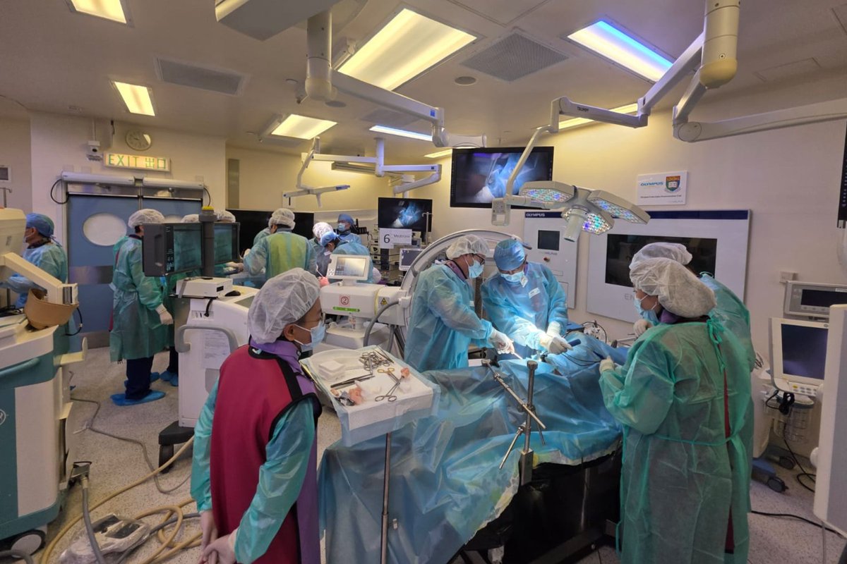 SRS_org's tweet photo. Thanks to all who attended the Spine Deformity Solutions Hands-On Course in Hong Kong! And a huge thank you to our incredible SDS Faculty for making it such a fantastic experience! #SpineSolutions #SDS #Research #SpineTalk #SRS #HongKong https://t.co/SUjMzWeyHs