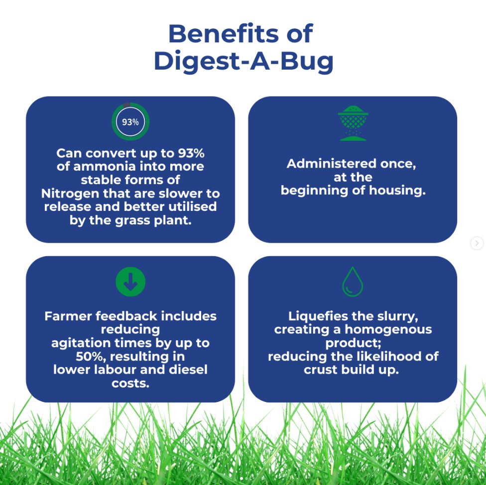 Wondering about the benefits of  slurry additive?
Digest-A-Bug is a blend of bacteria and enzymes designed to promote biological activity in slurry. These beneficial bacteria convert slurry into a more homogenous and nutrient rich fertilizer.
Learn more: bit.ly/3zX7eQp