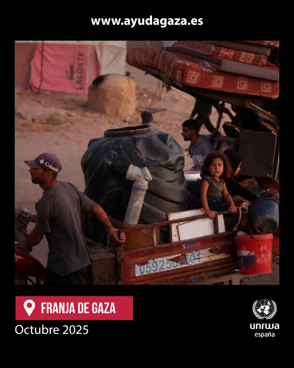 Tras el alto el fuego, las personas están regresando a Ciudad de Gaza y al norte.
Vuelven a los escombros de lo que fueron sus hogares, ya que casi el 80% de las estructuras han sido dañadas o destruidas.
UNRWA sigue brindando servicios esenciales en toda la franja de #Gaza