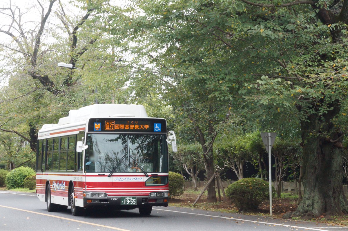 Yuki (@yuki_F9125) / Posts / X