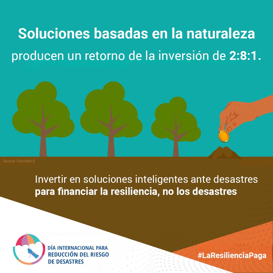 ONU en Cuba tweet media