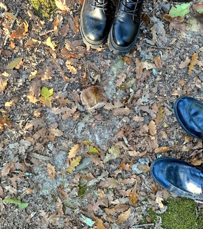 Sonia6S's tweet image. La dottoressa che in un solo post ci regala il weekend senese,il selfie tanto atteso con il fidanzato (amori bellissimi 😍🥹❤️), la sponsorizzazione al negozio del suocero 👜, la sua bellezza e pure un bel 🍄 (ce la vedete alla ricerca di funghi... 🤏🏻🥰)
Tutta vita🎀🎀
#tommavi