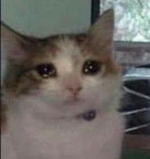 Psycholégiste ⚖️🧠 tweet media