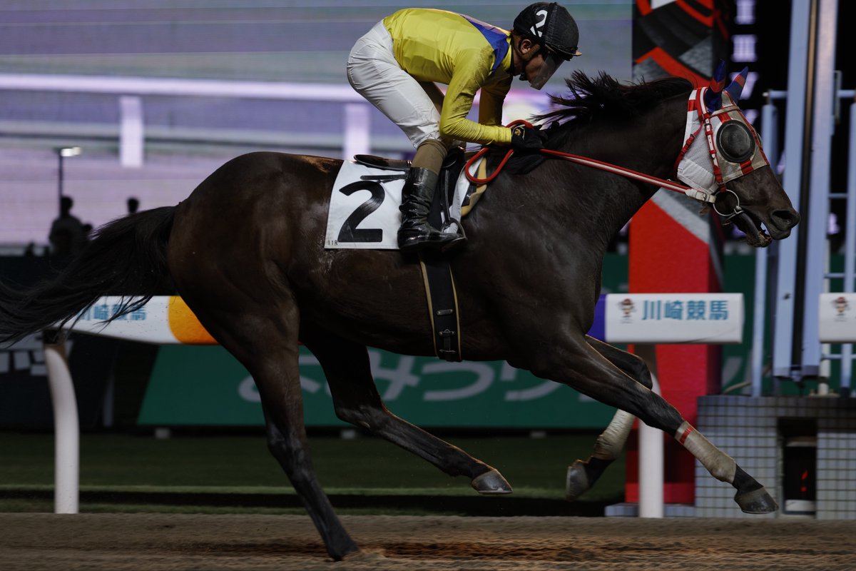 オルフェーヴル たてがみ 2015年 スイープトウショウの2015 | 競走馬