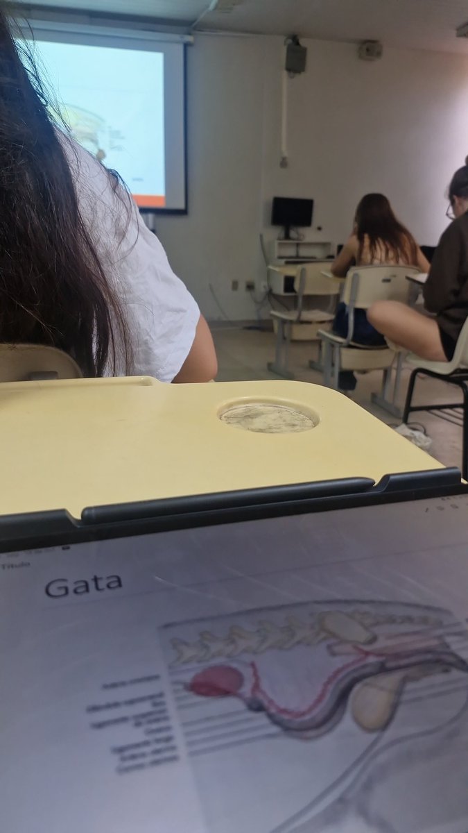 balbstudy's tweet image. gente chegou o período que eu n quero estudar minhas notas estão horríveis não quero ir pra faculdade minhas faltas estão estouradas não sei se quero continuar não me vejo atuando na área mas ao mesmo tempo não quero desistir são muitos pensamentos