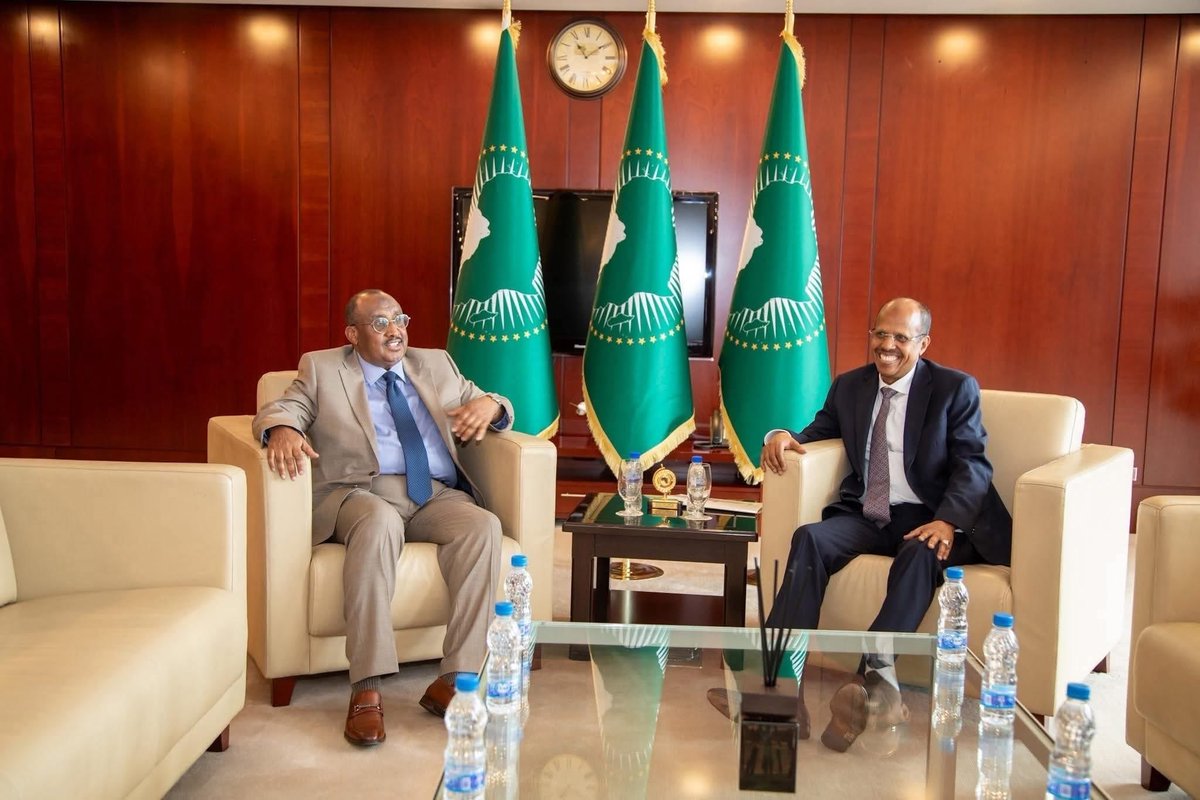 His Excellency Abdiweli Ali Gaas <a href="/aliabdiweli/">Abdiweli M. Ali</a>  oo  Africa nabadaynaaya.