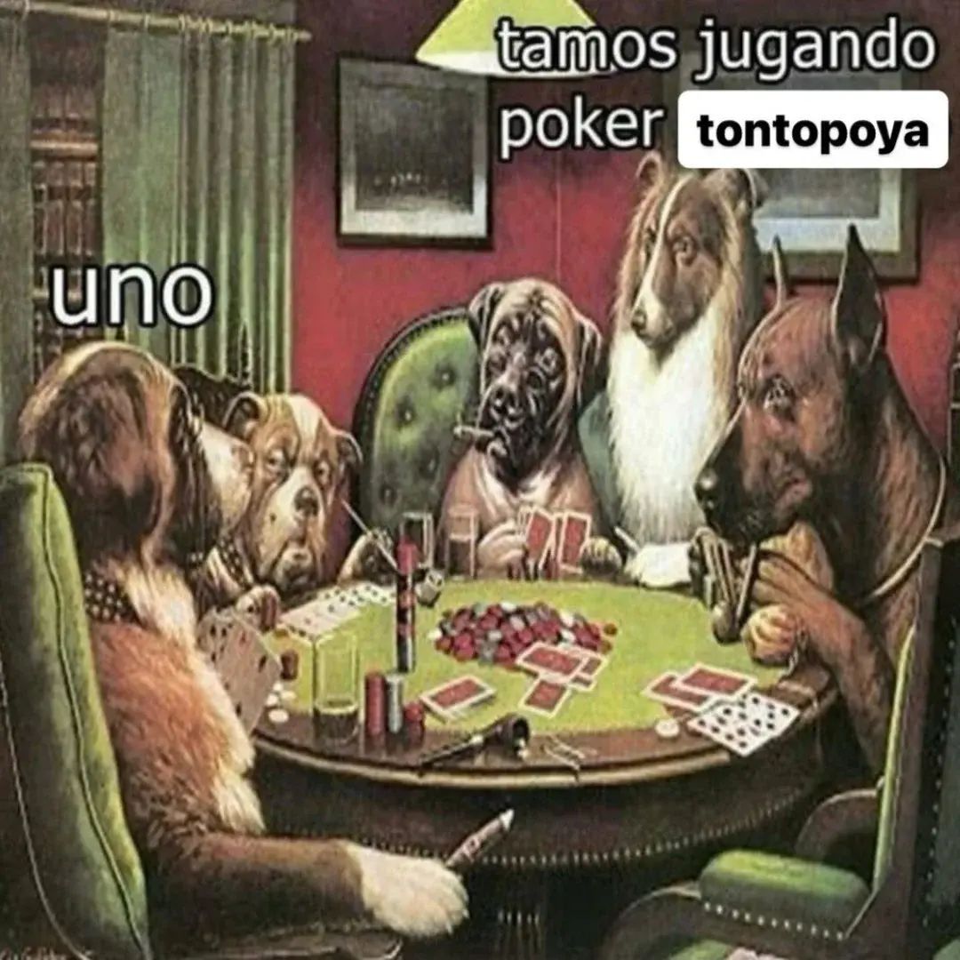 chincheto pirata somali (@wikipistacho) on Twitter photo 