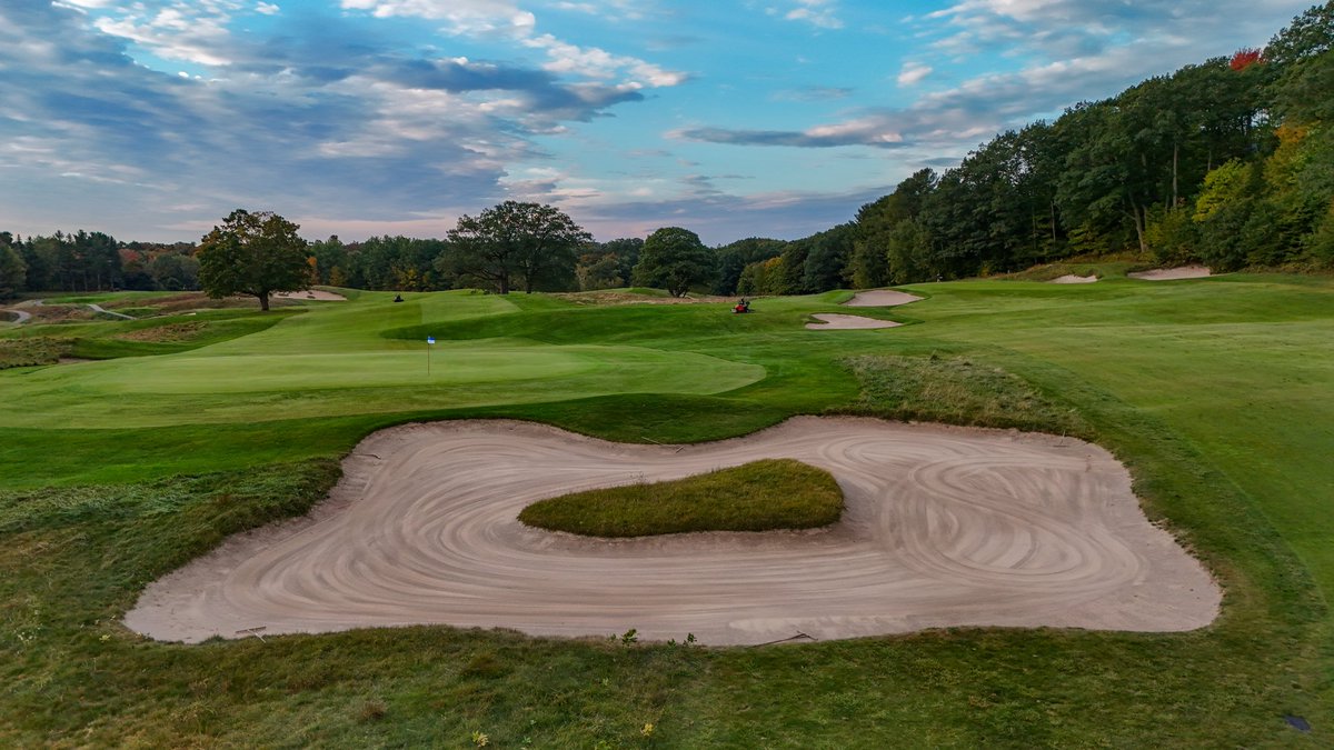 Andrew Harvie tweet media