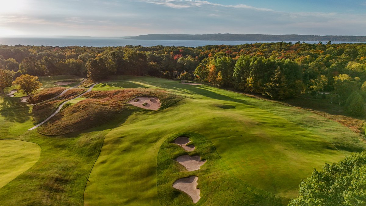 Andrew Harvie tweet media