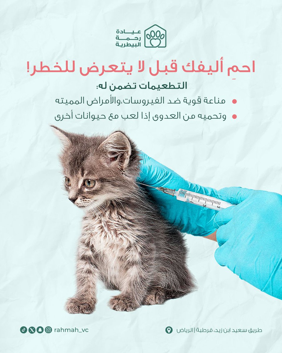مع اقتراب الشتاء، تكثر الأمراض، والحيوانات غير المطعمة تكون أكثر عرضة للإصابة.
كما أن تطعيم القطط الرباعي يحمي من 3 أمراض تنفسية تنشط مع انخفاض درجات الحرارة❄️

التطعيمات مسؤولية.. تحمي أليفك وتحميك أنت وأفراد أسرتك!💙

#الرياض #التطعيمات #عيادة_رحمة_البيطرية #حيوانات_أليفة