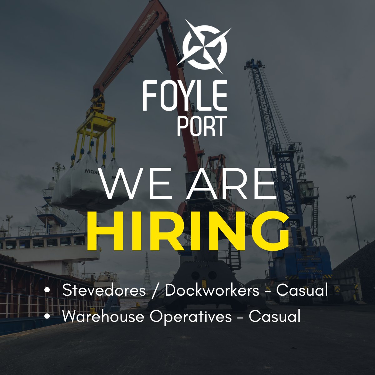 FoylePort's tweet image. We are currently recruiting for the following casual roles:
◽ Stevedores / Dockworkers
◽ Warehouse Operatives

Visit foyleport.com/careers to find out more and apply.

#JobOpportunity #CasualWork