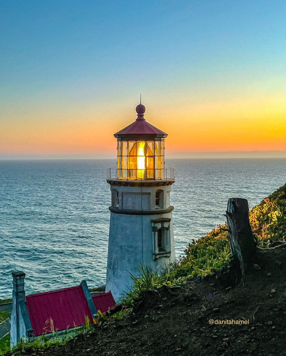 Danita Hamel tweet media