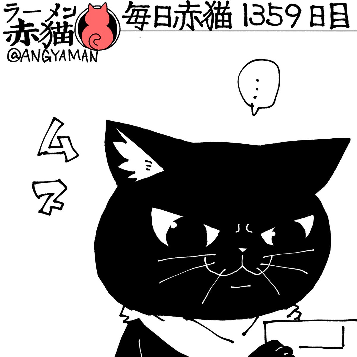 赤猫 杏