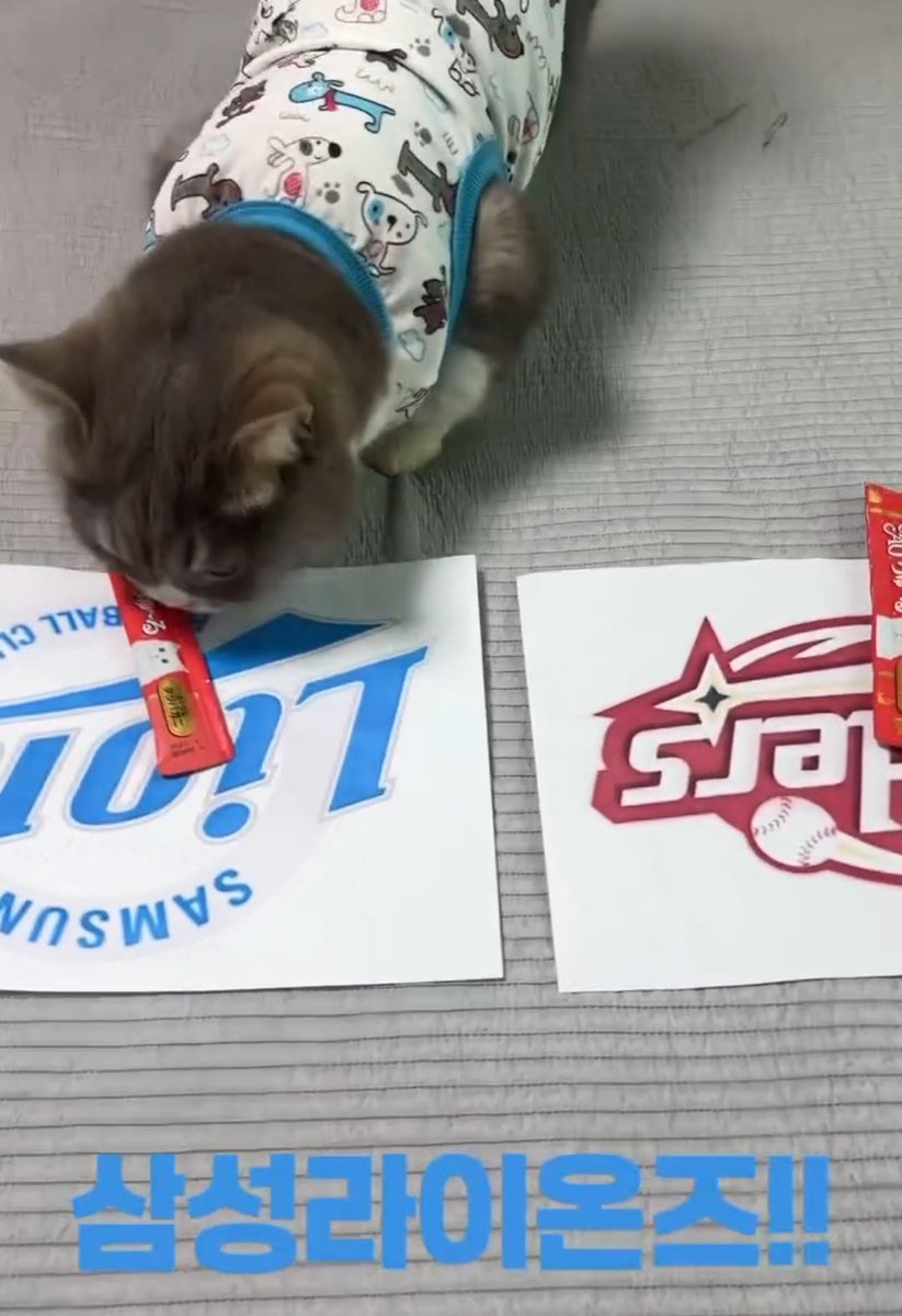 나 만식이 믿긔....