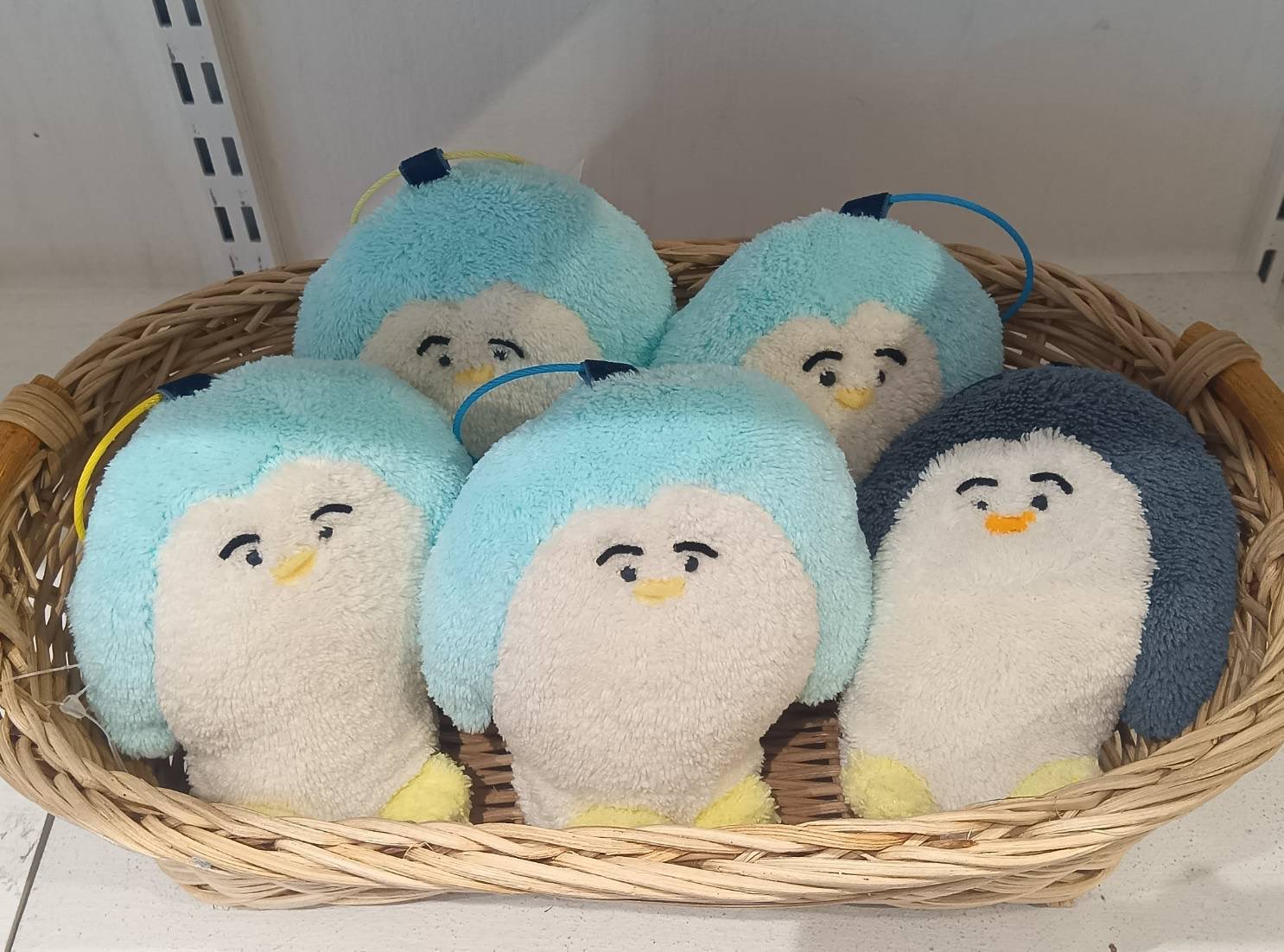 わかんぱにー☺︎ (@wkn8) / X