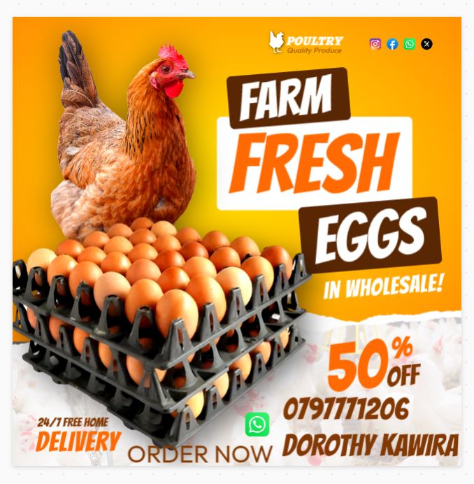 HassanMuth21443's tweet image. Just a reminder guys 😜😜🫴 
I offer best designs and web development at an affordable price 
Dm or call:0741060091
