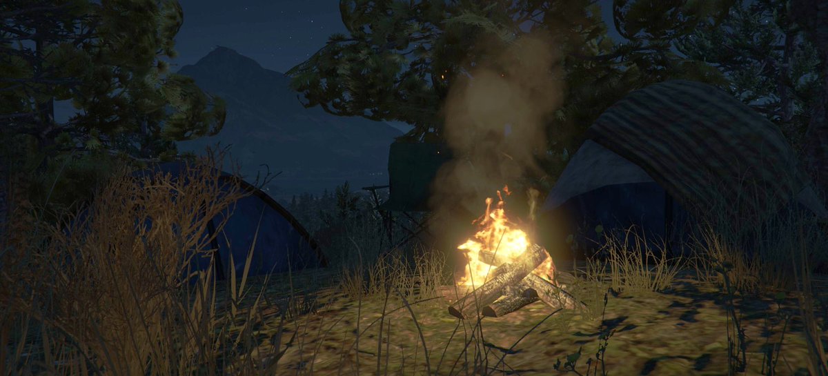 MindCity_RP's tweet photo. Envie de créer le décor parfait pour une scène de sortie en plage? Ou de camping dans les bois de Los Santos? 
Vous pouvez laisser libre court à votre imagination maintenant grâce aux props posable sur MindCity ✨ 

Et on dit merci l'équipe technique 🫶 💜 https://t.co/rw7YnMYAkb
