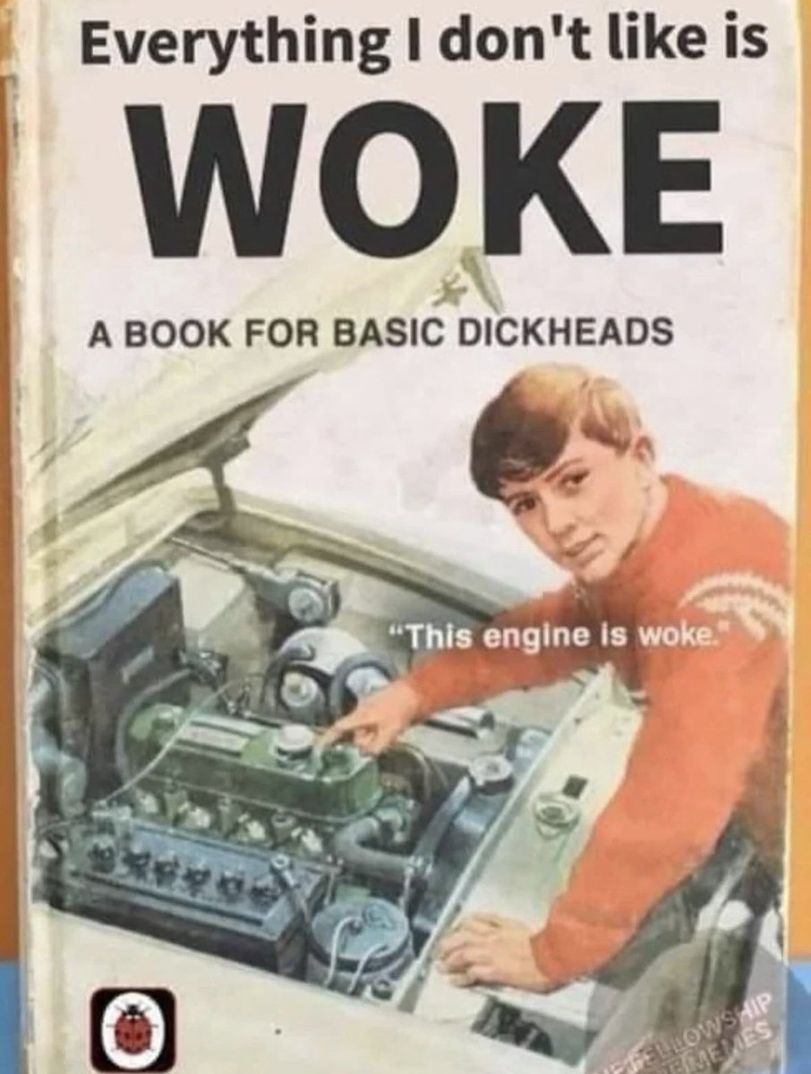 mountainmannie's tweet image. 