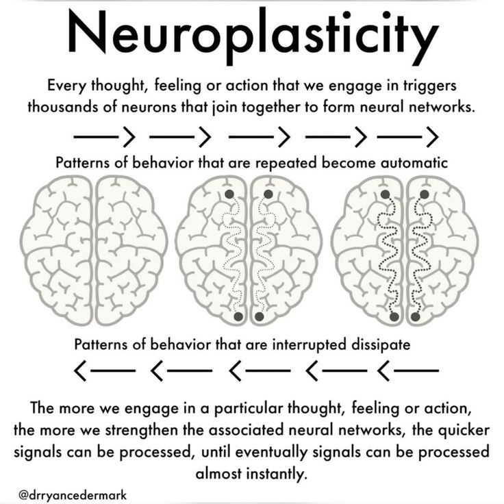 The power of Neuroplasticity.