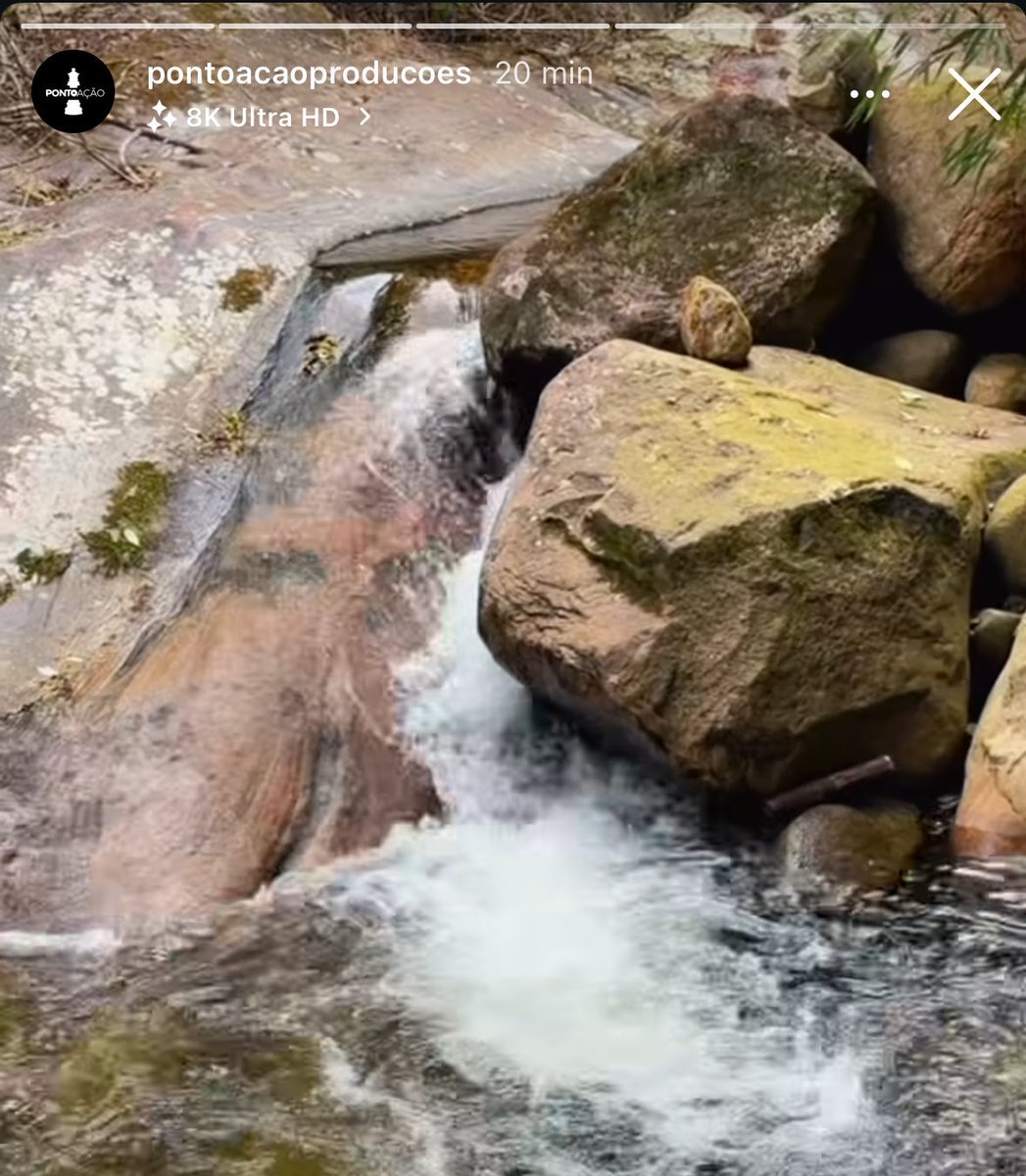 laana_olv's tweet image. E QUANDO: