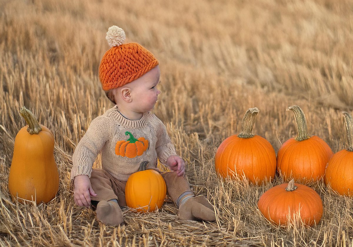 Engy525's tweet image. As if autumn whispered tales of warmth 🍂Between pumpkin hues and childhood smiles — a moment to keep forever
كأن الخريف يهمس له بحكايات الدفء 🍂بين لون اليقطين وضحكة الطفولة، تتهادى لحظة لا تُنسى
#PumpkinMood #LittleCutie #FallVibes #AutumnJoy #يوم_خريفي