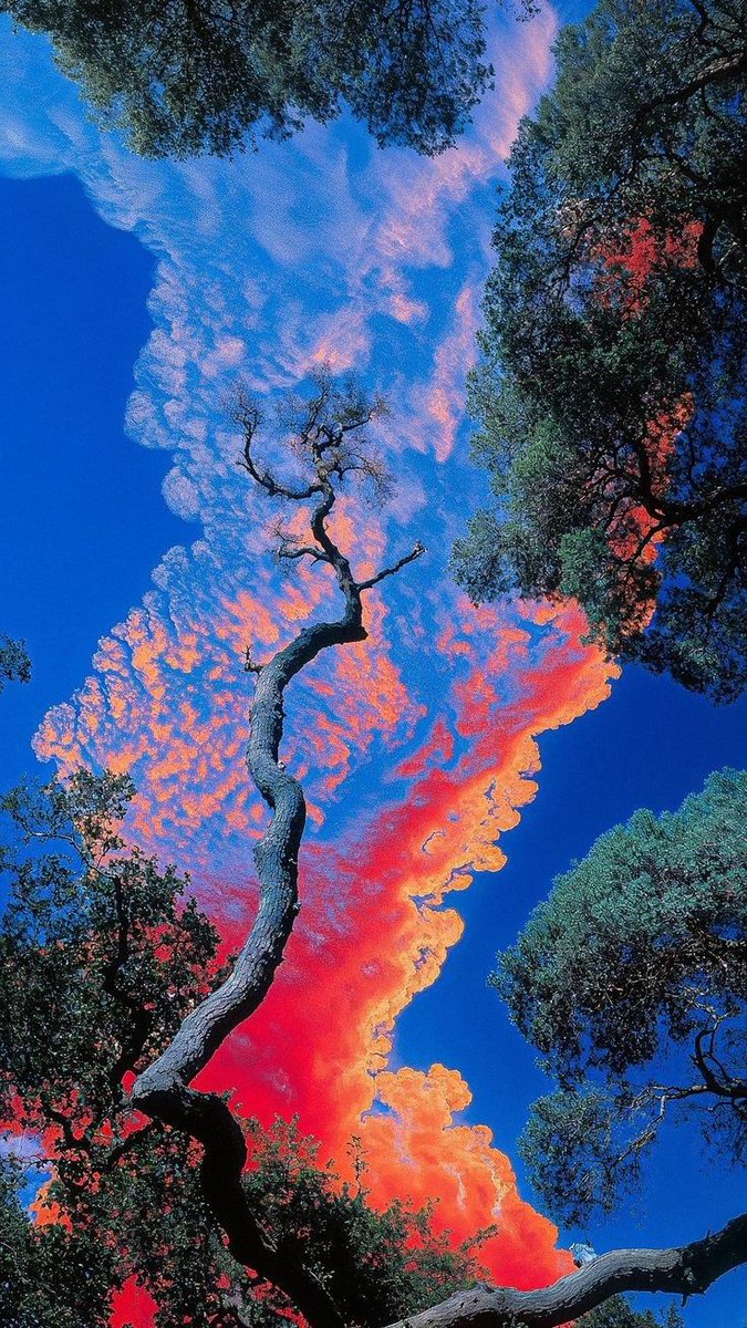 GM Vampires🧛🏻

A brief list of early NFTs ☟

✧ <a href="/BasebornPunks/">Baseborn Punks</a>
✧ <a href="/Outtailz/">Outtailz🐾</a>
✧<a href="/pizza_frogs/">Pizza Samurai Frogs</a>
✧ <a href="/asterurr/">Asterurr</a>
✧ <a href="/GoodDogs_NFT/">Good Dogs</a>
✧ <a href="/HlLiquidfish/">LiquidFish</a> 
✧ <a href="/MoochyNFT/">Moochy on SOL</a>
✧ <a href="/bigmonad/">BIGMONAD</a>
✧ <a href="/vota_xyz/">Vota</a>
✧ <a href="/ChonChon_io/">ChonChon</a>
✧ <a href="/Bearacleseth/">Bearacles</a>
✧ <a href="/mondokuonmonad/">Mondoku</a>
✧@ChillRaccoons

Bookmark it and DYOR,NFA!!!