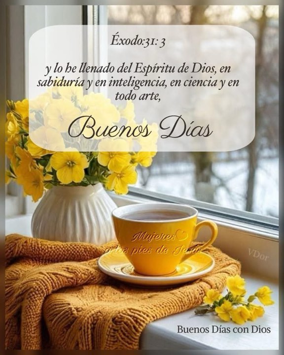 Y lo he llenado del Espíritu de Dios, de sabiduría, inteligencia y capacidad creativa.
Éxodo 31:3
Sintamonos bendecidos, y pidamos al Señor la sabiduría y la inteligencia que necesitamos. Feliz Martes!