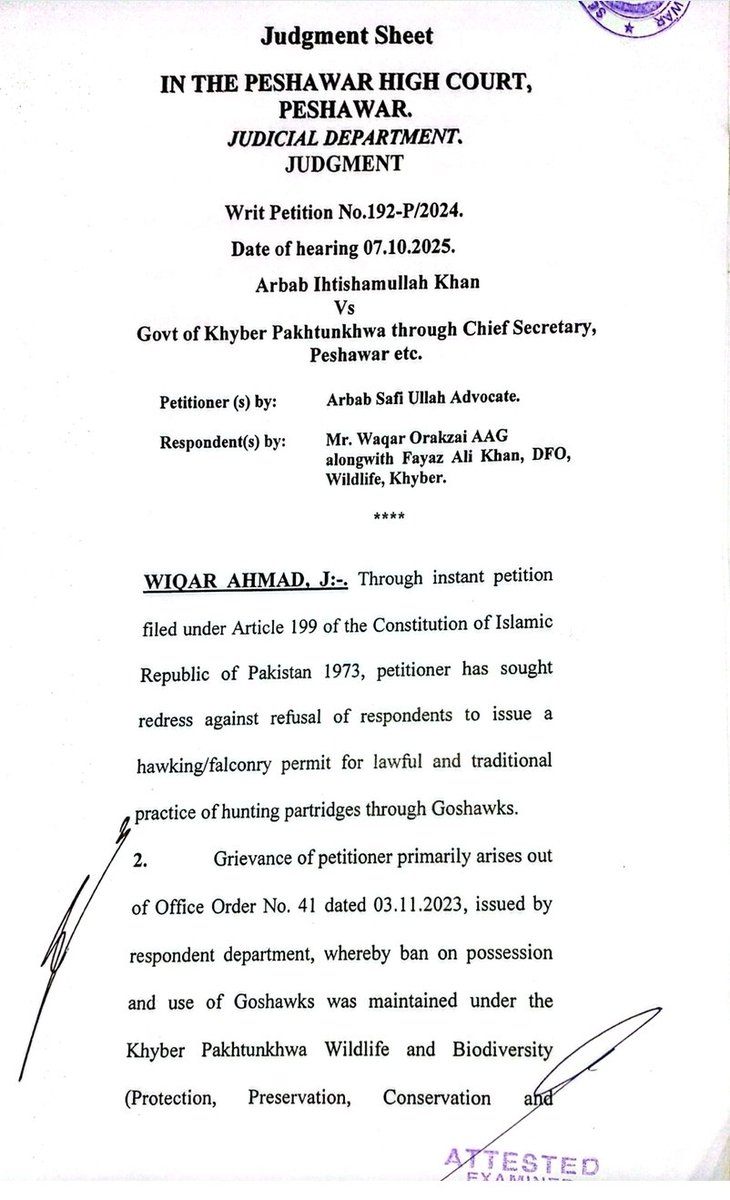 falconrypk's tweet photo. Peshawar High Court issued judgment directing KPK Wildlife Dept to reconsider issuance of hawking permits within 60 days, recognizing falconry as part of Pakistan’s intangible cultural heritage under the UNESCO Convention 2003.  #Falconry #Pakistan #Goshawk #highcourt #Peshawar https://t.co/uPQqAgKJaJ