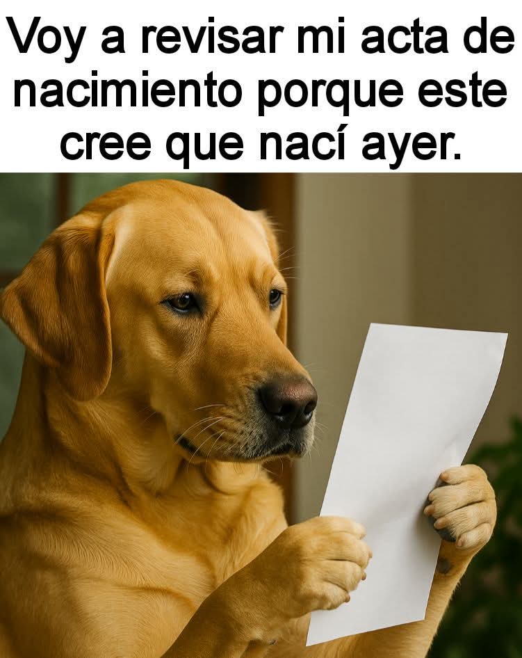 #jajajaja #TodoSí  #actadenacimiento  #perritos #humor #Memes