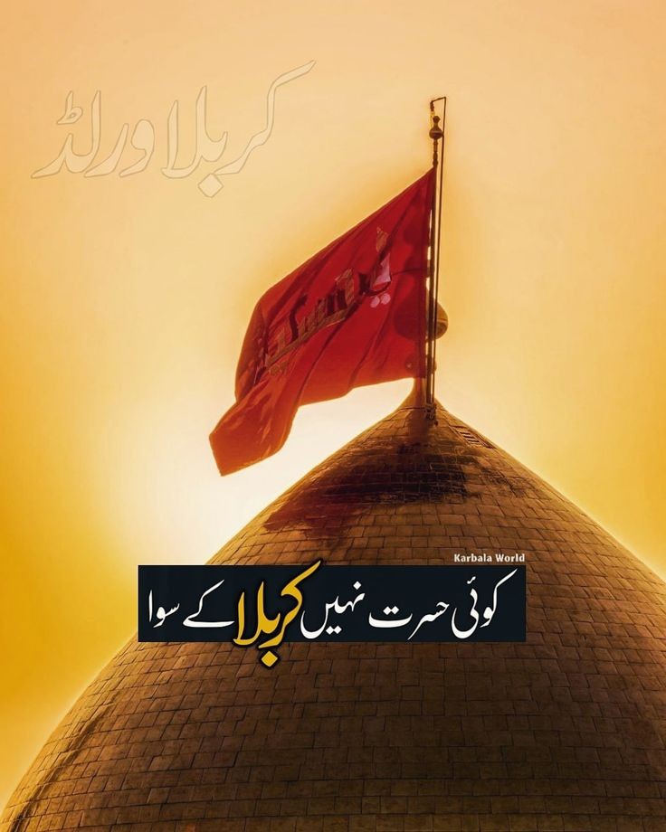 کوئی حسرت نہیں کربلا کے سوا 🙏