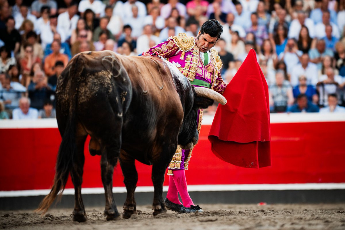 Azpeitiko Zezen Plaza tweet media