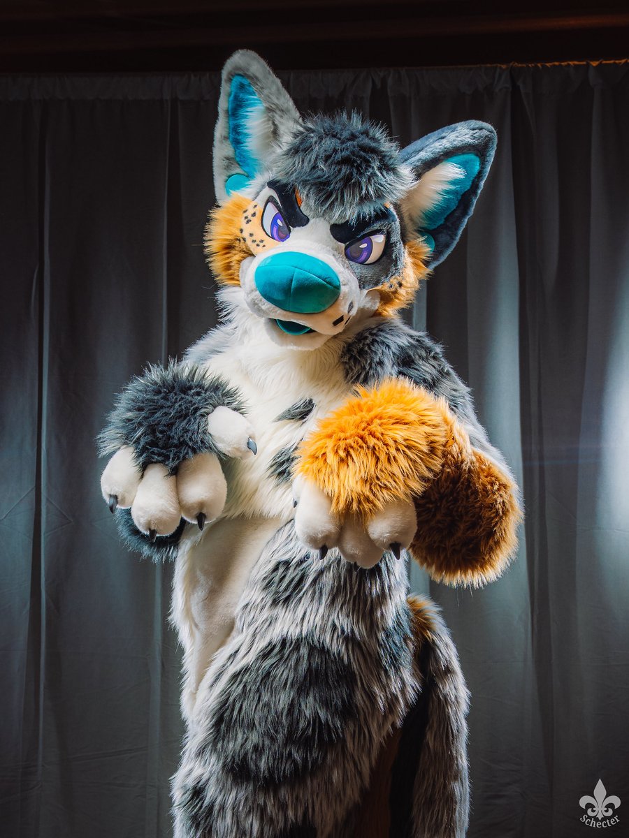 Avery of Dogtropolis (@foxeuphoria) on Twitter photo Puppy pose for this #MixedCandyMonday!
🪡: <a href="/mixedcandy/">Mixedcandy Inc</a>
📸: <a href="/SchecterWolfe/">🇯🇵yapanese yotie tour🇯🇵</a>
#FursuitEveryday Puppy pose for this #MixedCandyMonday!
🪡: <a href="/mixedcandy/">Mixedcandy Inc</a>
📸: <a href="/SchecterWolfe/">🇯🇵yapanese yotie tour🇯🇵</a>
#FursuitEveryday