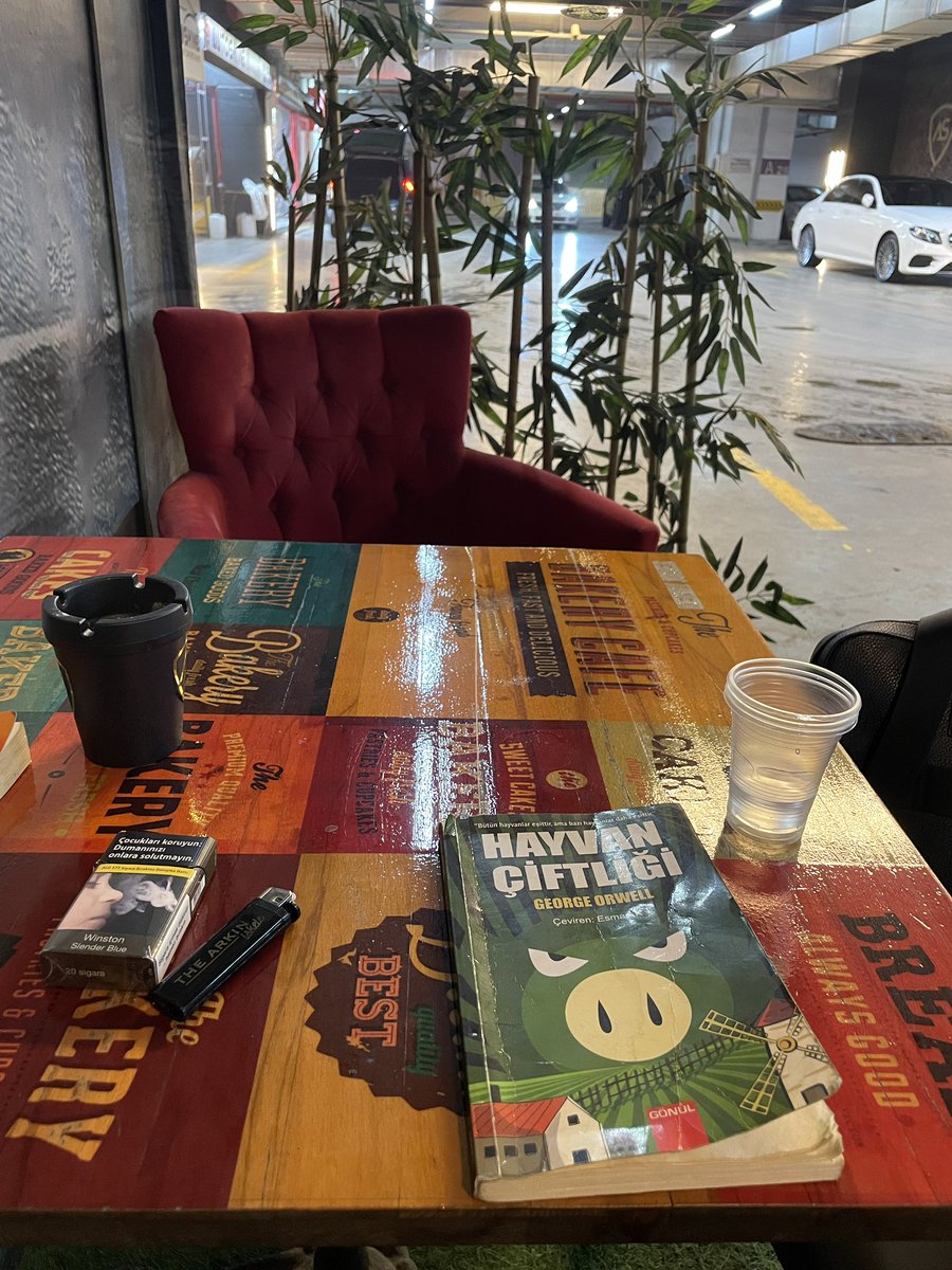 Benim de bazı rafine zevklerim var, arabanın yıkanmasını beklerken pek bilinmeyen kitaplar okumak gibi