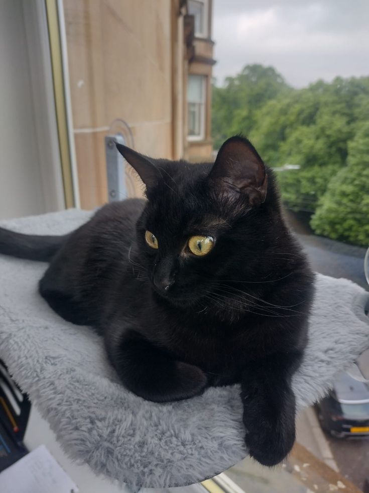 Second Before Blunder☠️ (@blundervid) on Twitter photo 