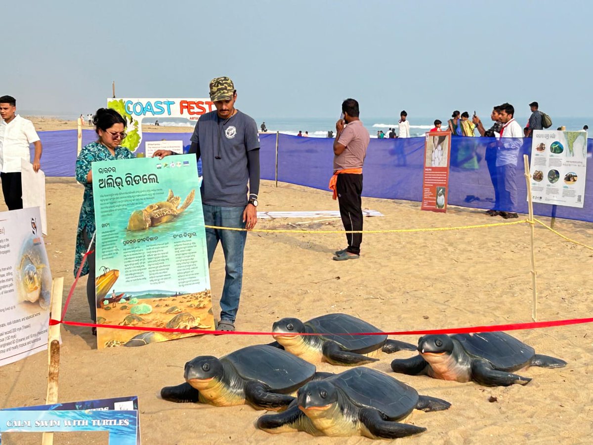 OdishaSeaTurtle's tweet image. 🌍 On the Int'l Day for Disaster Risk Reduction 2025, we reaffirm that nature is our strongest shield. 🌿
Through mangroves, dunes, palms & sea turtles — we build resilience where land meets sea. 💚
#DisasterRiskReduction #NatureBasedSolutions