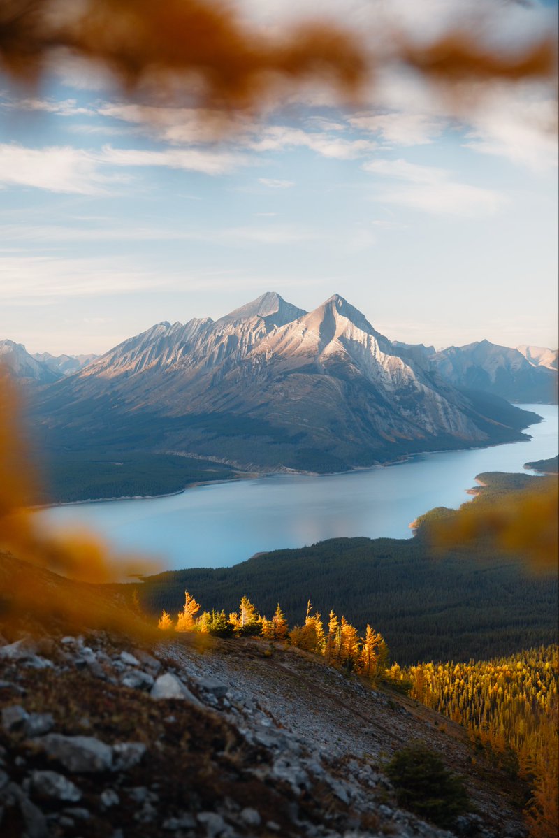 alexmack__'s tweet image. gmmmm ⛰️