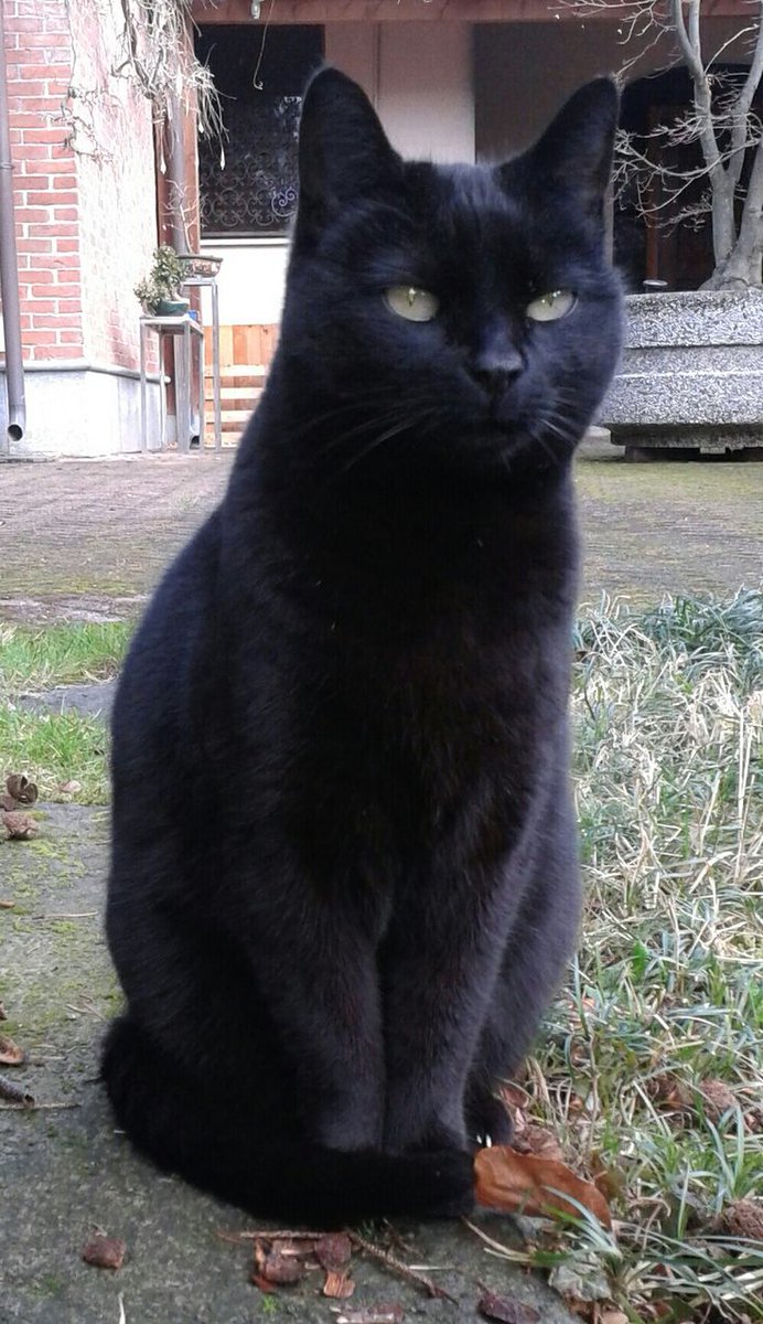 Second Before Blunder☠️ (@blundervid) on Twitter photo 