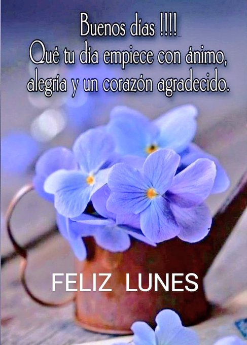 Purple flowers arranged in a copper watering can placed on a wooden surface with blurred purple petals in the foreground. Overlaid text reads Buenos dias !!! Que tu dia empiece con amor alegria y un corazon agradecido. Below it says Feliz lunes in larger font.