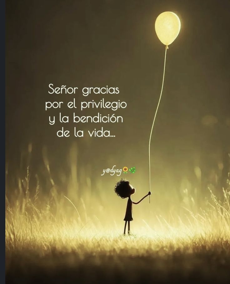 Gracias... 🙏