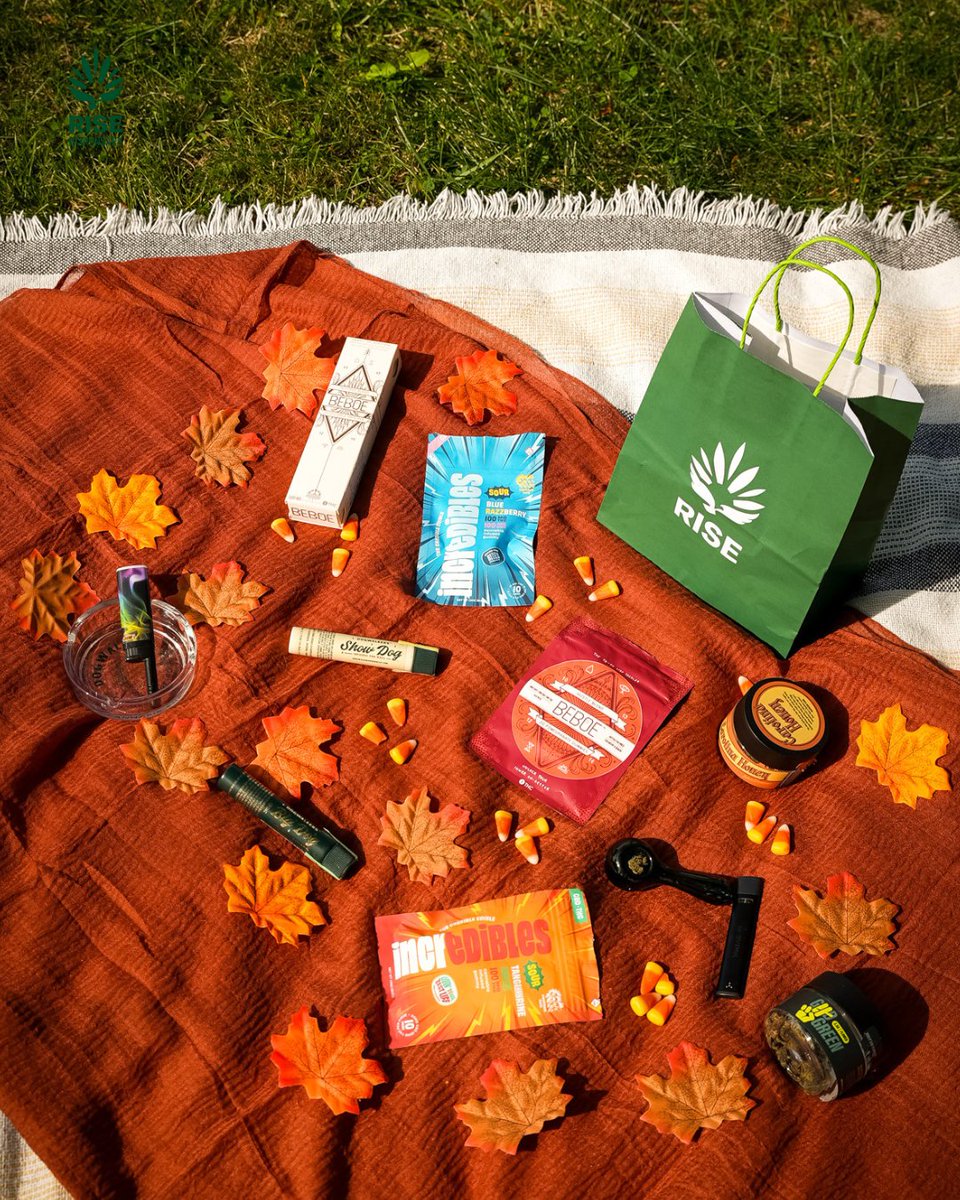 🎃🍂Keeping the cozy vibes up all fall long. Where are you seshing this season?