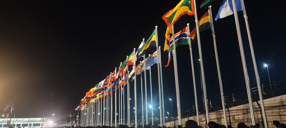 藤ノ葉 tweet media