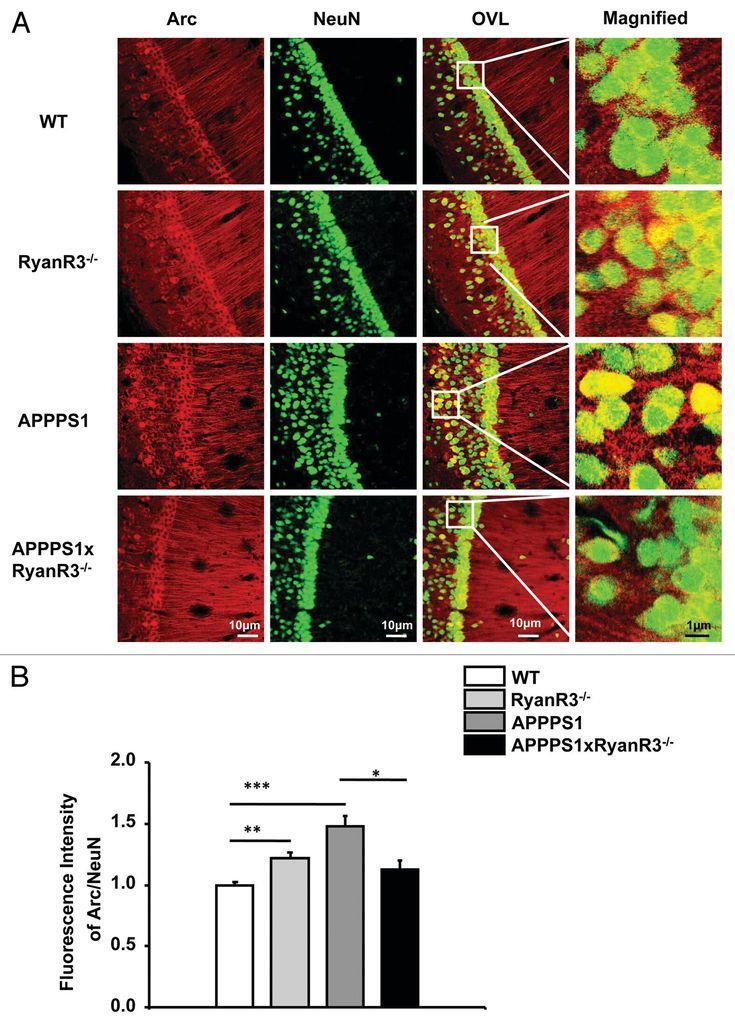 👋Channelomics.bsky.social👋 tweet media